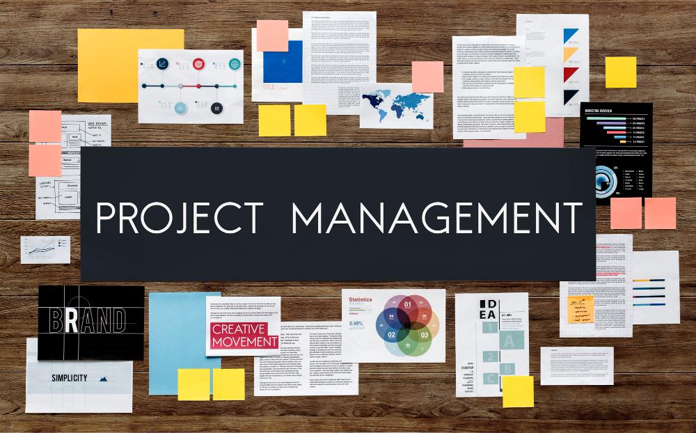 PMP exam breakdown - Business Environment Domain