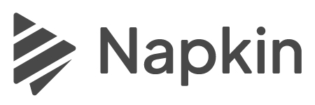 Napkin AI for Project Management